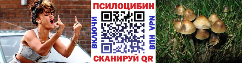 Купить закладки Краснозаводск Галлюциногенные грибы мухоморы